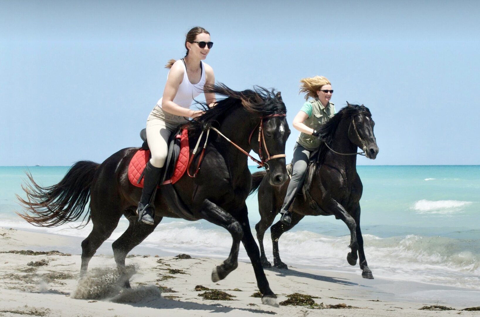 Arab vs Thoroughbred - Beach Riding